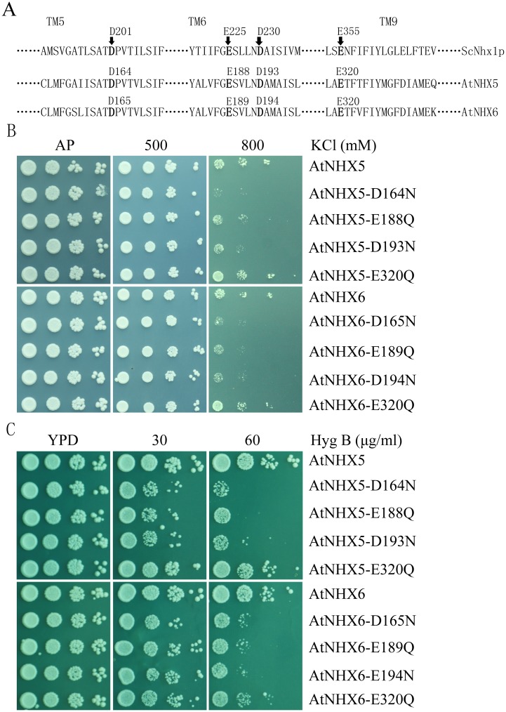 Fig 3