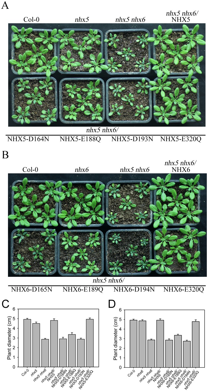 Fig 4