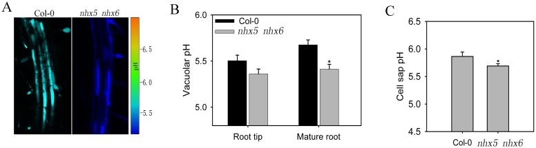 Fig 5