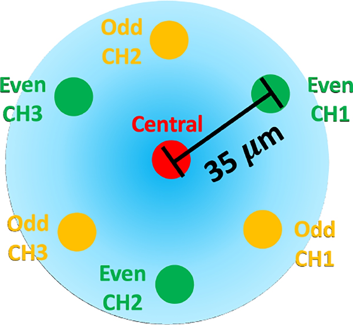 Fig. 2: