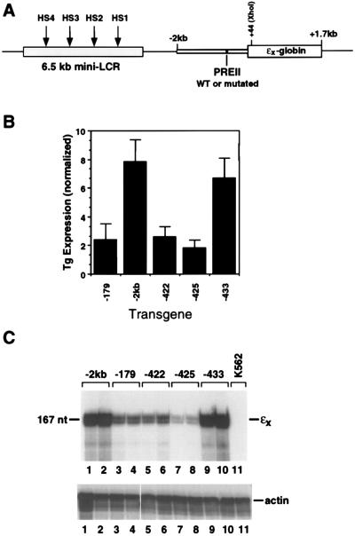 FIG. 6