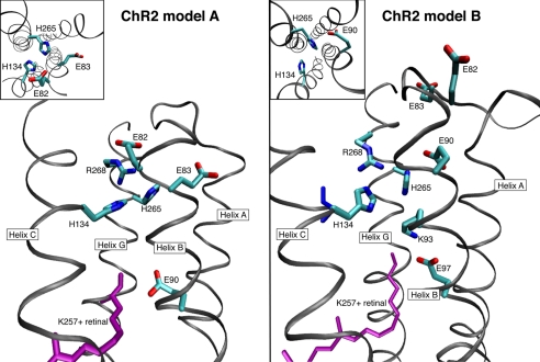 FIGURE 4.