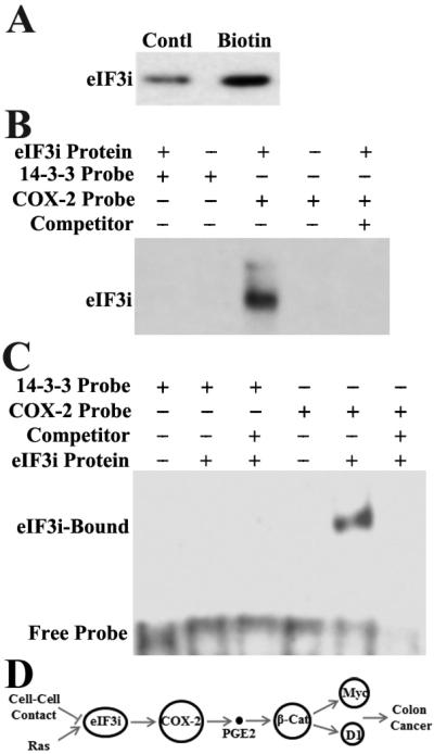 Figure. 8