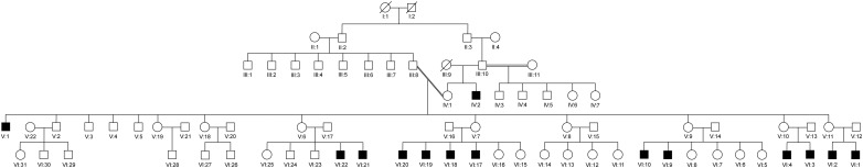 Figure 1 