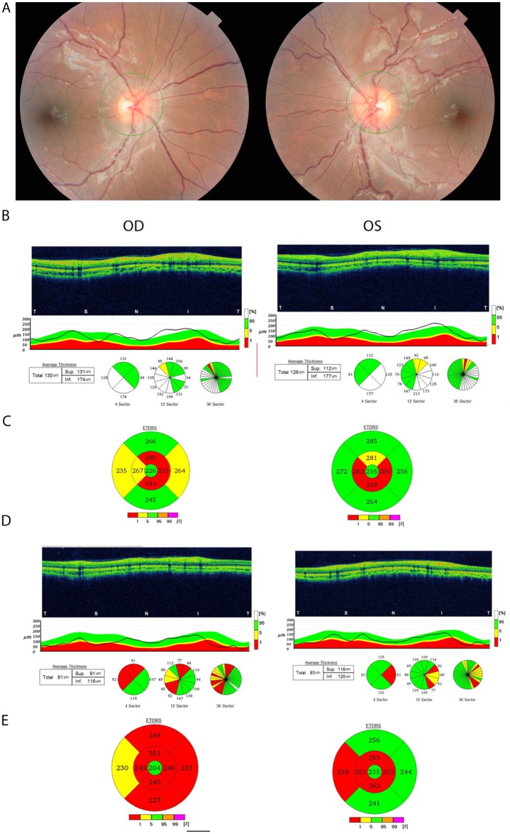 Figure 2 