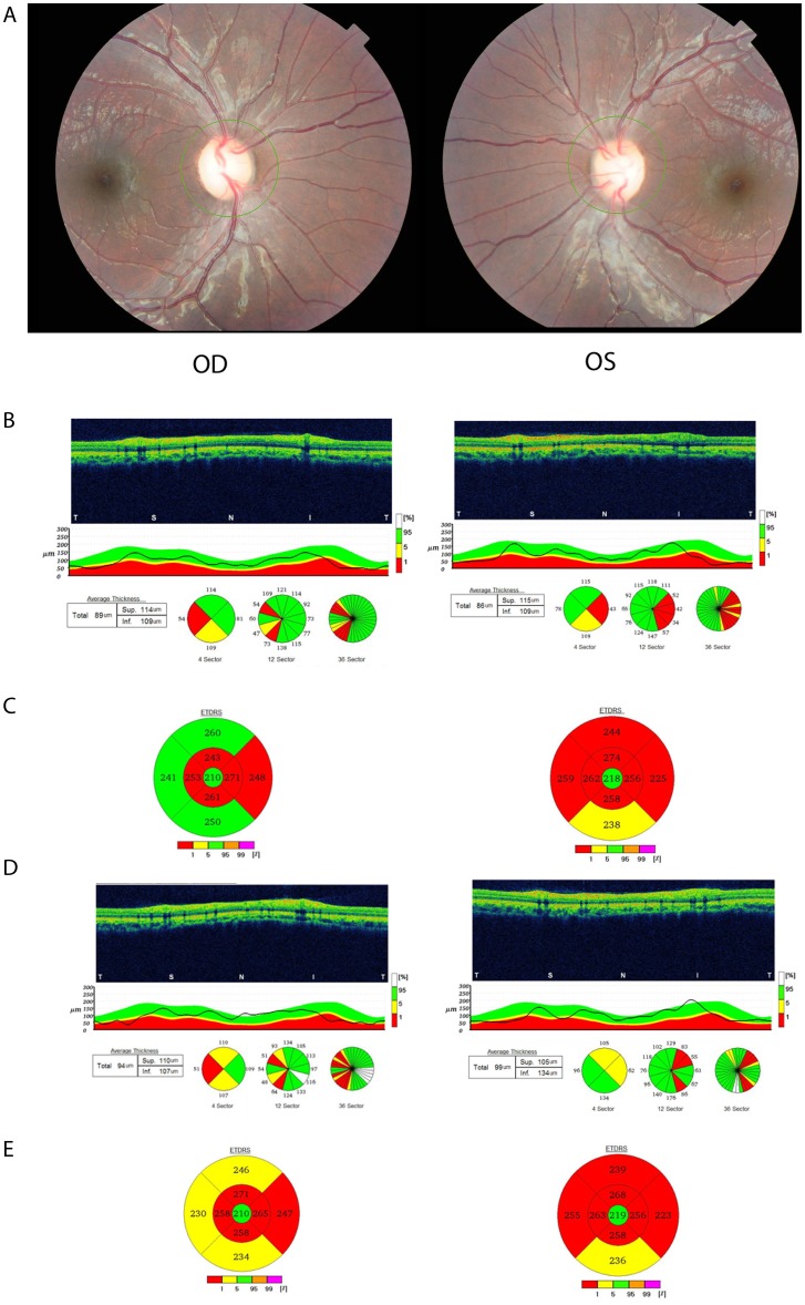 Figure 3 