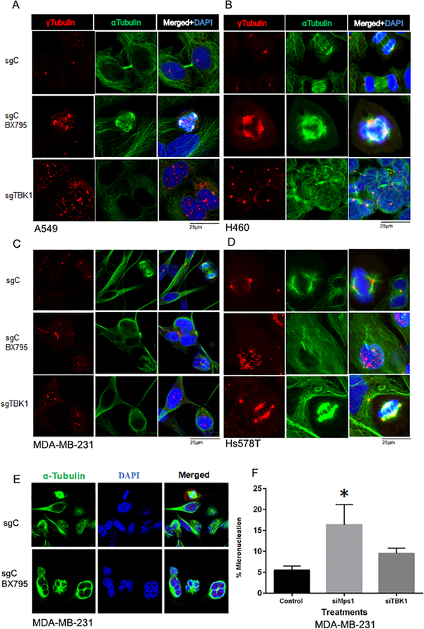 Figure 6: