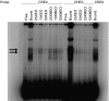 Fig. 6