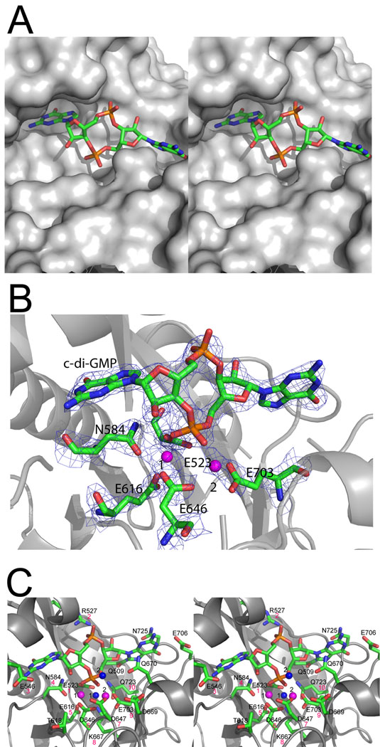 Fig. 5