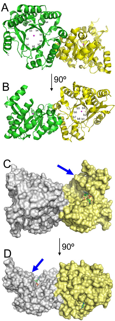  Fig. 3