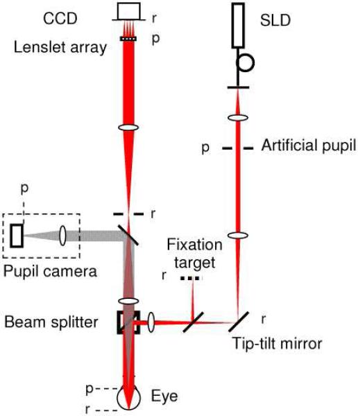 Fig. 1