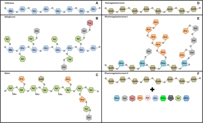 FIGURE 2