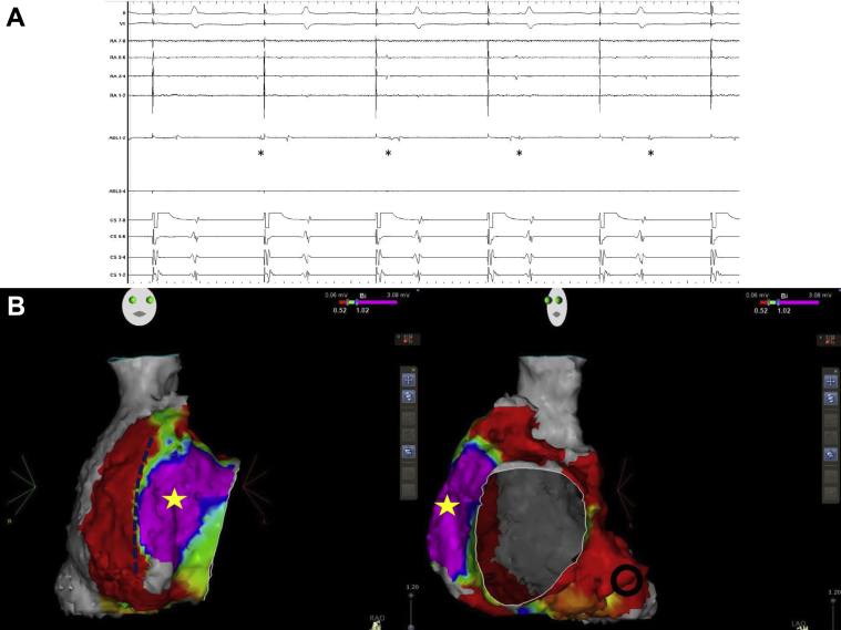 Figure 3
