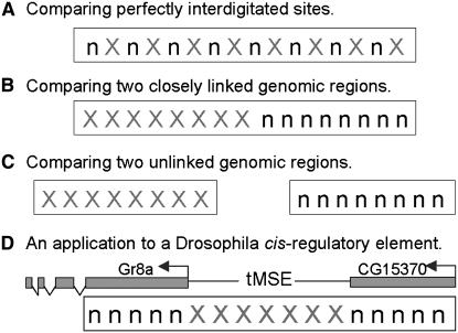 Figure 1.—