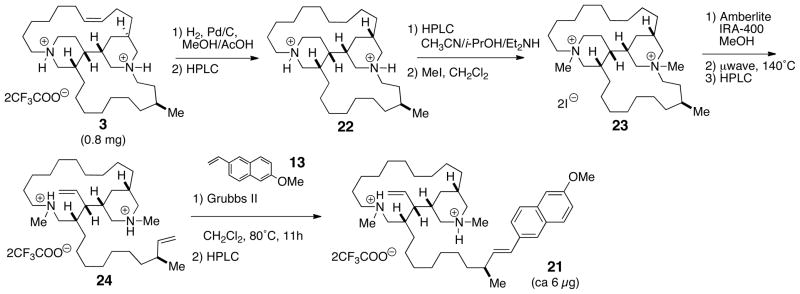 Scheme 3