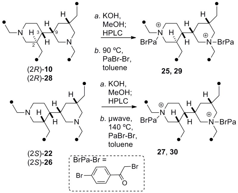 Scheme 4