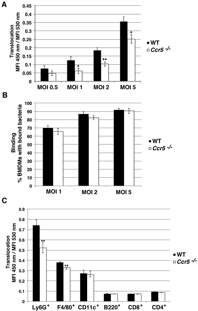 FIG 7 