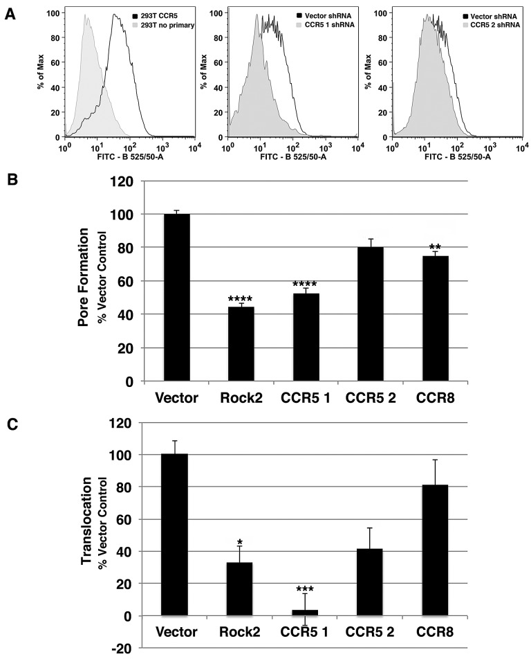 FIG 5 