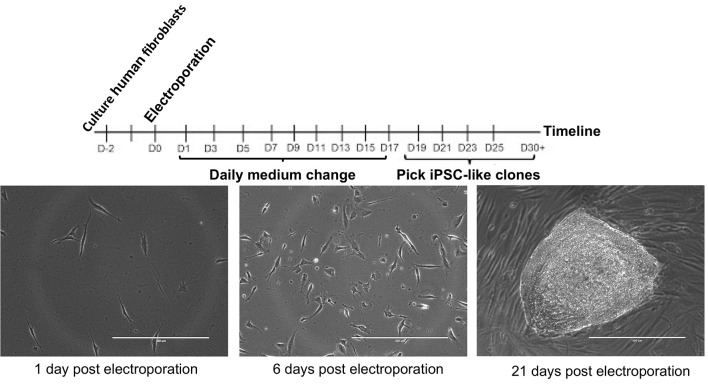 Figure 2.