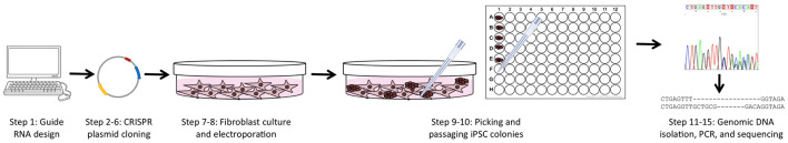 Figure 1.