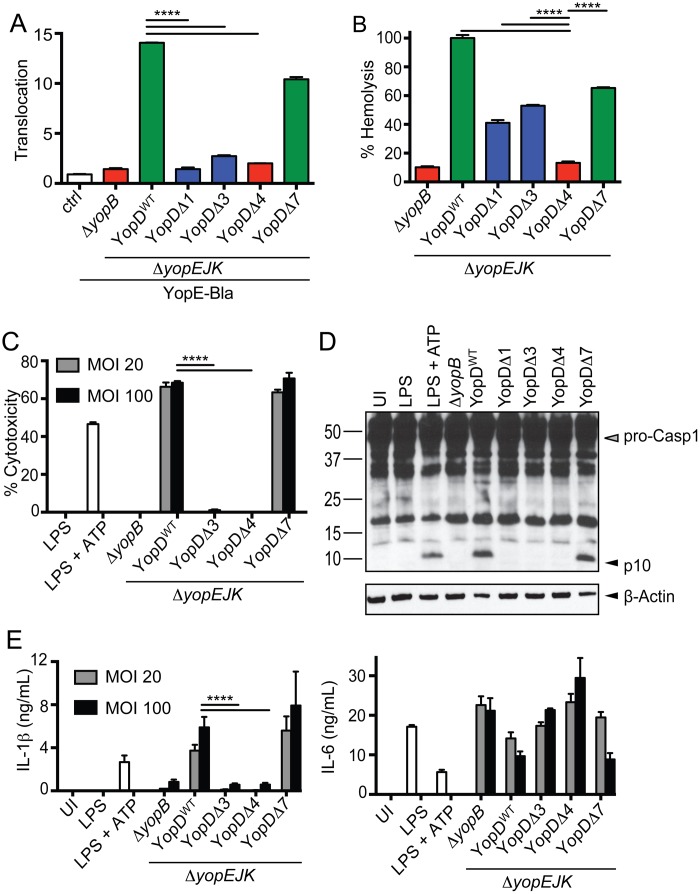 FIG 1 