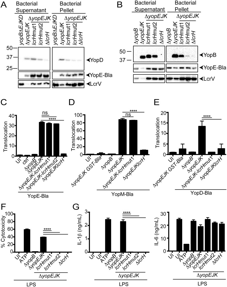 FIG 3 