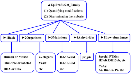 graphic file with name nihms-998787-f0001.jpg