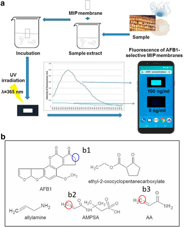 Fig. 2