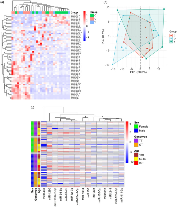 FIGURE 2