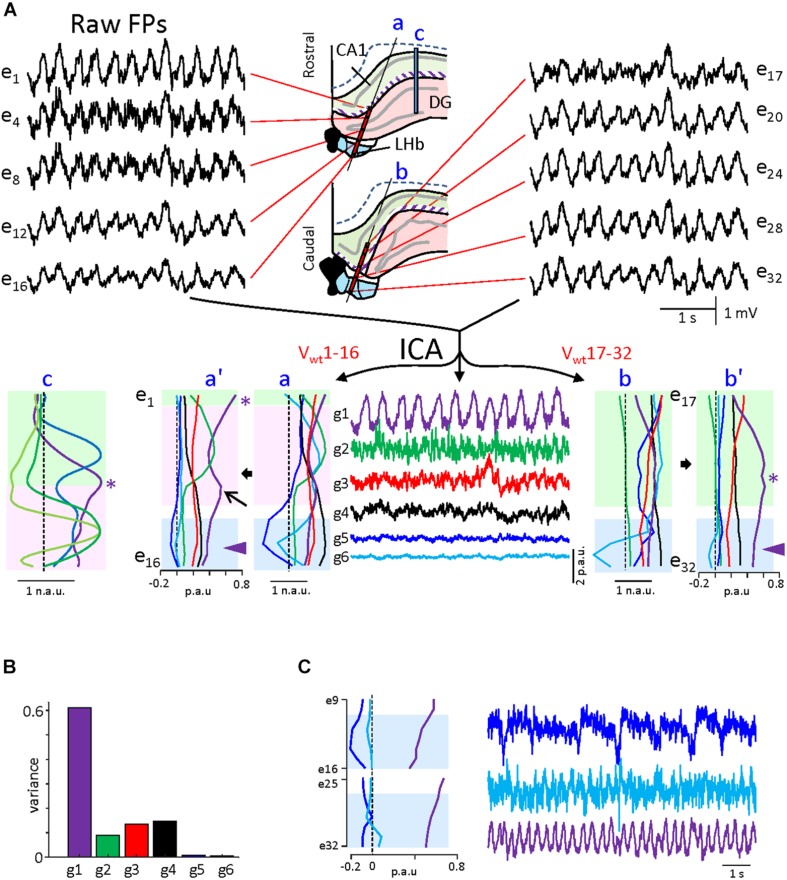 FIGURE 3