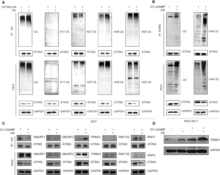 Figure 3