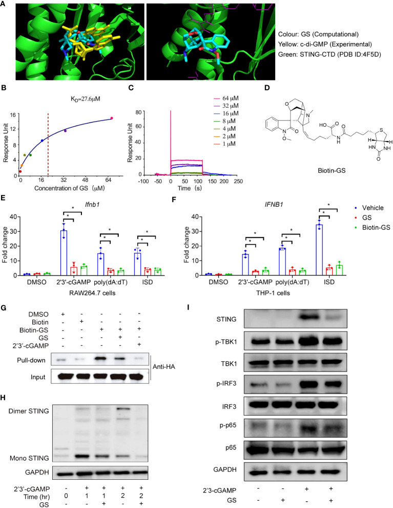 Figure 2