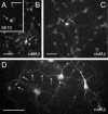 FIG. 11.
