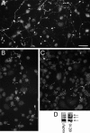 FIG. 10.