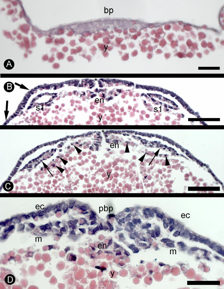 Fig. 5