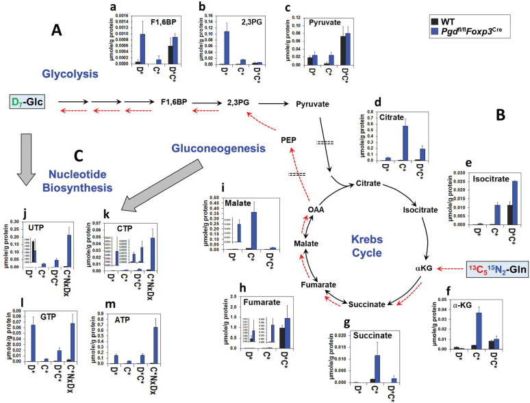 Figure 4—figure supplement 1.