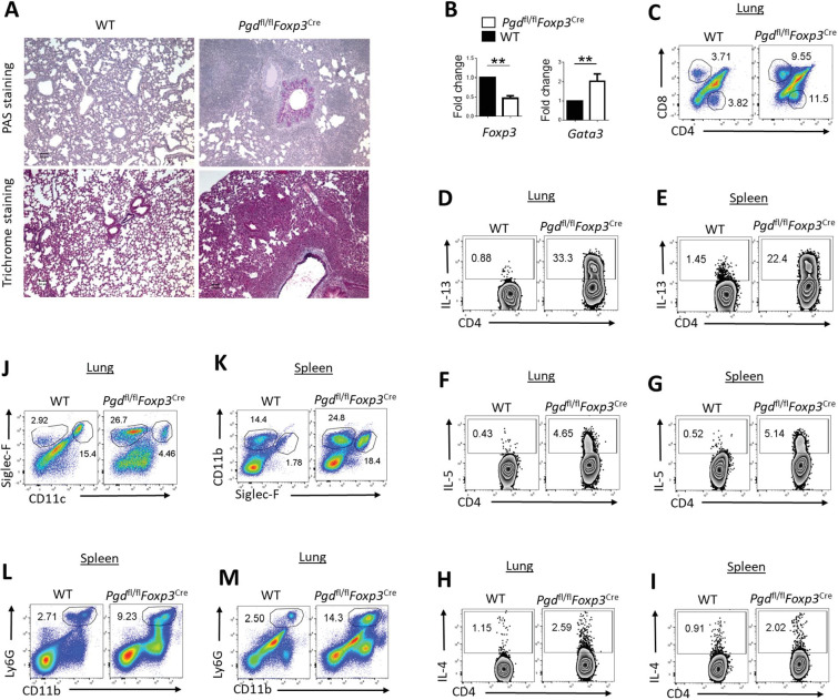 Figure 3—figure supplement 1.