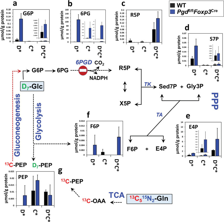 Figure 4—figure supplement 2.