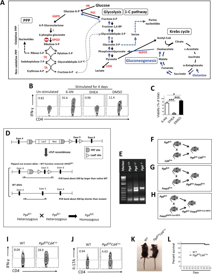 Figure 1—figure supplement 1.