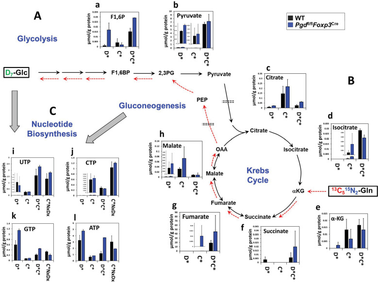 Figure 4—figure supplement 3.