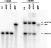 FIG. 9.