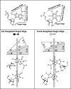 FIG. 2.