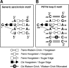 FIG. 3.