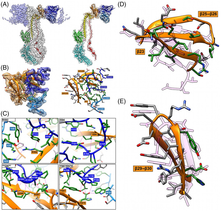 FIGURE 1