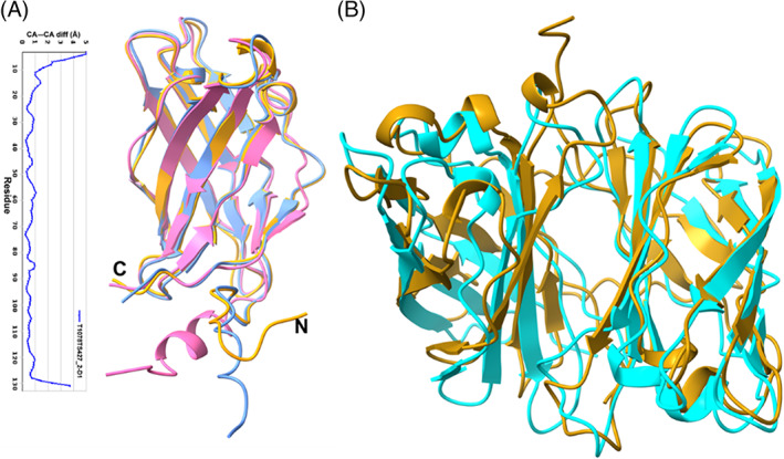 FIGURE 11