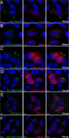 FIG 2