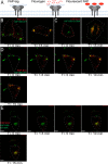 FIG 3