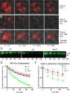 FIG 4