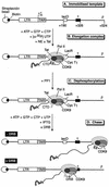 FIG. 1.