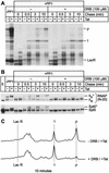 FIG. 7.